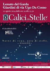 Calici di stelle